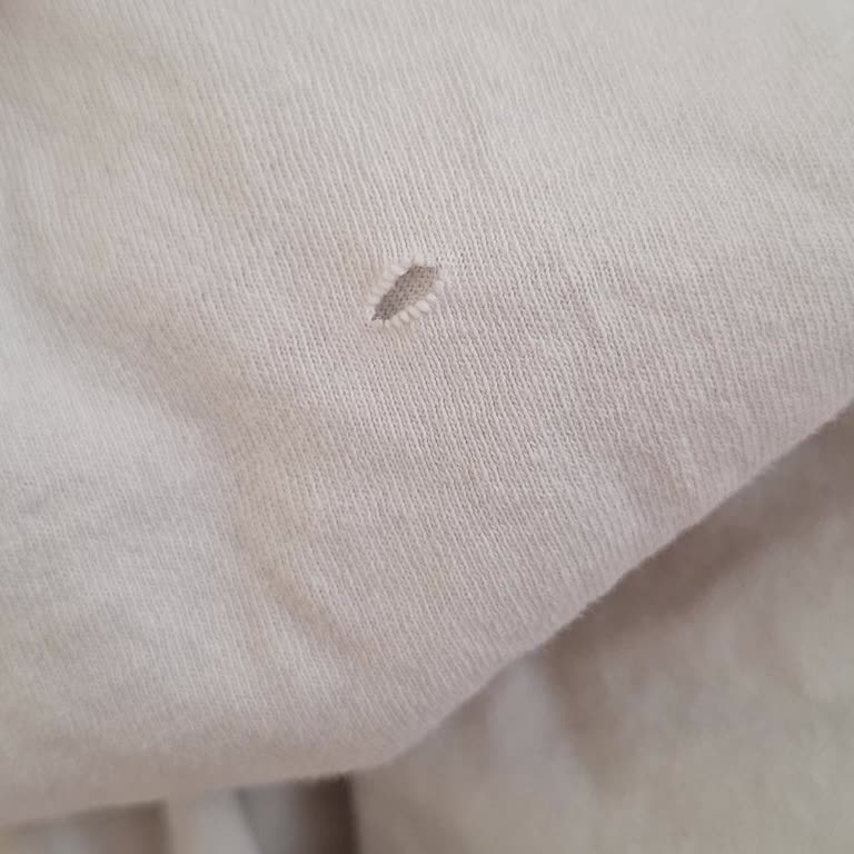 Çamaşır Makinesi Sürekli Çamaşırlarda Delik Oluşturuyor Çözüm Bulunamıyor