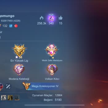 Mobile Legends: Gekaufter Hanabi-Skin „Seelenwirtin“ nicht im Spiel sichtbar – bitte um Lösung