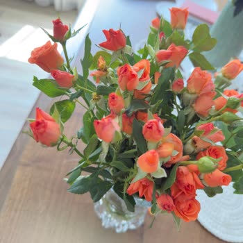 Doğum Günü İçin Gönderilen Solmuş Çiçek Hayal Kırıklığı Yarattı