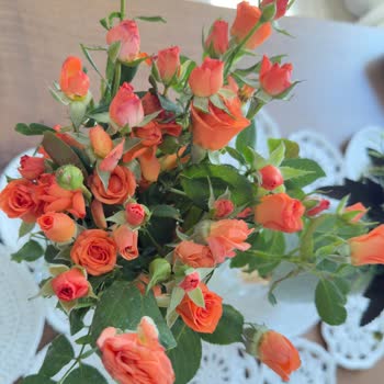 Doğum Günü İçin Gönderilen Solmuş Çiçek Hayal Kırıklığı Yarattı