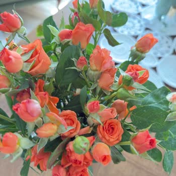 Doğum Günü İçin Gönderilen Solmuş Çiçek Hayal Kırıklığı Yarattı