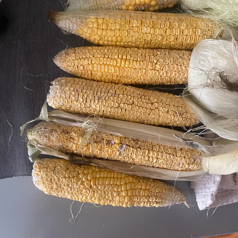 Aldığım Bozuk Ürün Ve Yetersiz Müşteri Hizmeti Nedeniyle Hayal Kırıklığı