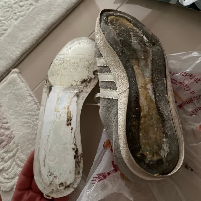 Adidas Gazelle Ayakkabının Tabanı Aynı Anda Çıktı, Müşteri Hizmetleri İlgisiz