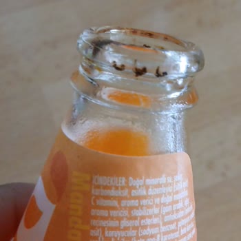 Gazlı İçecek Kapaklarında Hijyen ve Sağlık Riski Şikayeti