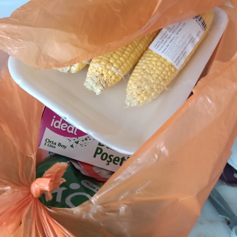 Trendyol GO'dan Yanlış Ürün Gönderildi, Çözüm İçin Bekletiliyorum