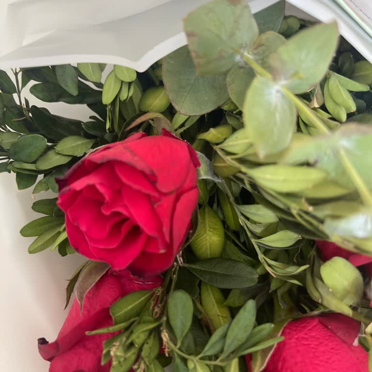 Gönderilen Çiçekler Solgun Ve Moral Bozucu Geldi, Büyük Hayal Kırıklığı Yaşadım