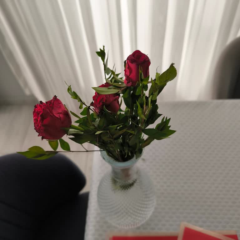 Eksik Ve Solmuş Ürün, Kötü Müşteri Hizmeti Deneyimi