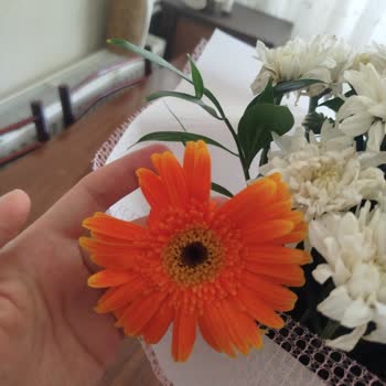 Doğum Günü İçin Sipariş Edilen Çiçekler Kötü Geldi, Firma İlgilenmedi