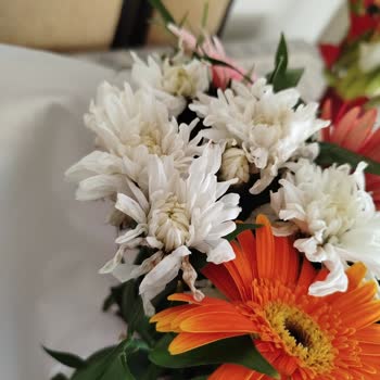 Doğum Günü İçin Sipariş Edilen Çiçekler Kötü Geldi, Firma İlgilenmedi