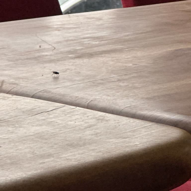 Isırlık Rize Sosyal Tesisleri Şikayetçiyim