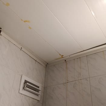 Pineta Otel'de Hijyen Ve İlgi Eksikliğiyle Hayal Kırıklığı