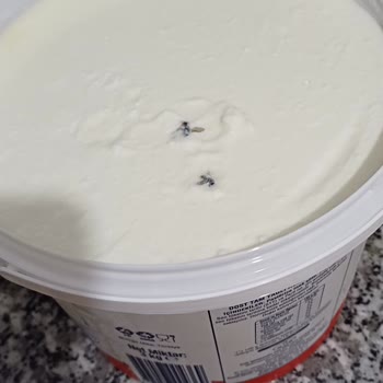 Dost Aldığım Yoğurttan İki Ölü Sinek Çıktı Hijyen Sıfır!