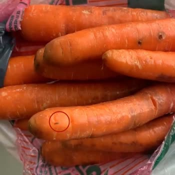 Migros Hemen Siparişimde Çürük Sebze Ve Hijyen Sorunu Yaşadım!