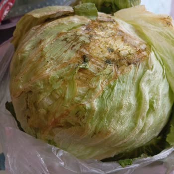 Migros Hemen Siparişimde Çürük Sebze Ve Hijyen Sorunu Yaşadım!