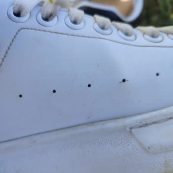 I Wore My Alexander McQueen Shoes for Just a Month and They Already Started Tearing