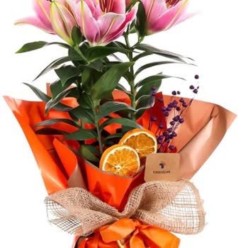 Sipariş Edilen Çiçekle Alakasız Ürün Gönderildi, İade Sürecinde Zorluk Yaşadım