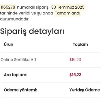 Sertifikam Sisteme Yüklenmedi, Destek Alamadım