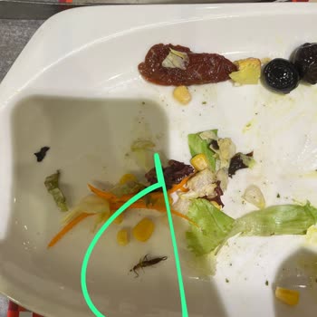 Yemekte Böcek Çıkması Ve Personel Davranışı