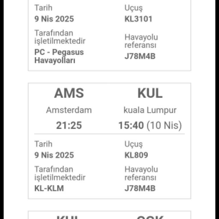 I Lost ₺45,000 After Gotogate Refused to Rebook My Missed Flight Due to Visa Issue