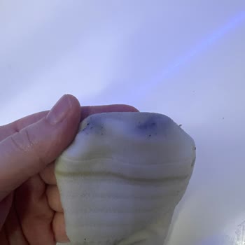 Skechers D-Lites, mis pies y calcetines se tiñen de negro, rechazo de devolución