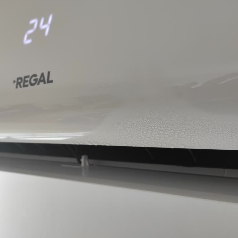Regal Luna Inverter Klima Ön Panelinde Sürekli Terleme Ve Servis Sorunu