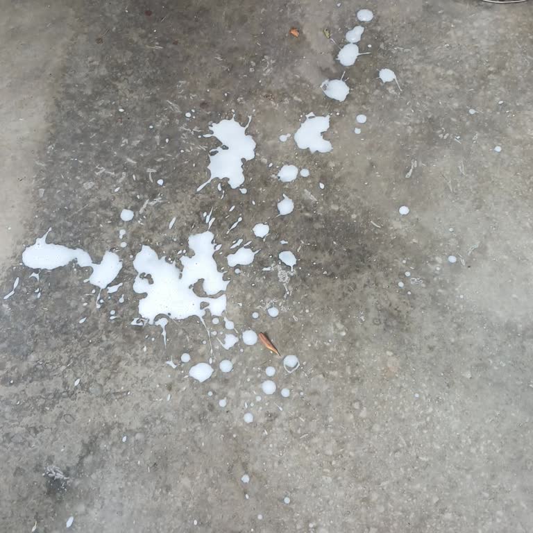 Altınkılıç Kefir Bozuk Çıktı, Sağlığımız Tehlikeye Atıldı