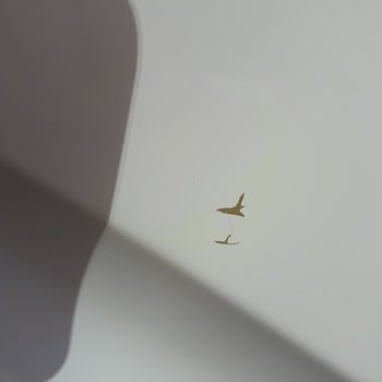 Opel Zafira'da Boya Atması Ve Değer Kaybı Sorunu: Garanti Ve Çözüm Beklentisi