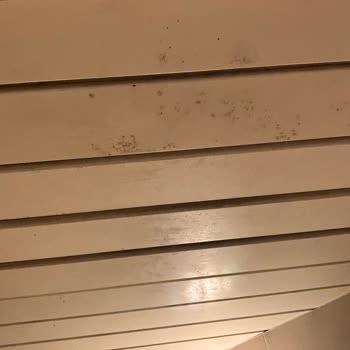 Jolly Tur İle Hayal Kırıklığı Yaşatan Pis Ve Eski Otellerde Konaklama