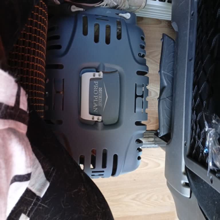 Kamil Koç Otobüs Şoförünün Evcil Hayvan Taşıma Konusundaki Keyfi Tutumu Ve Yönetmeliğe Uymaması