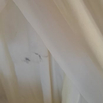 Kırşehir Karnaval Organizasyon Memnun Kalmadık!