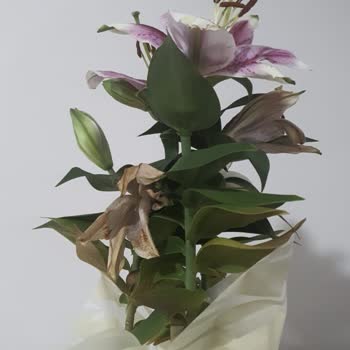 Onaylanan Çiçekle Gönderilen Çiçek Farklı Paramızla Rezil Olduk