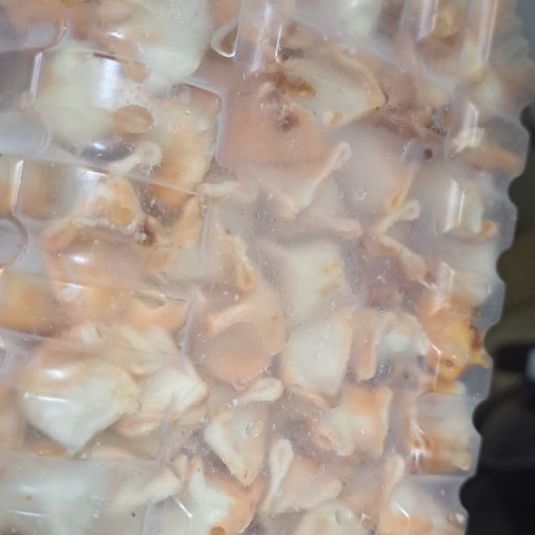 Yemeksepeti Market Donuk Ürün Çözülmüş Geldi, Müşteri Hizmeti Yok