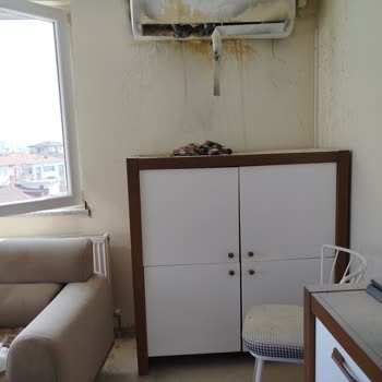 ECA Klima Yangını: Maddi Kayıp Ve Sorumluluk Reddi