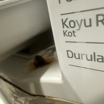 Beko Çamaşır Makinesi Deterjan Kutusunda Paslanma Ve Kabarma Sorunu
