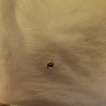 Bosch Çamaşır Makinesi Tekrar Arızalandı, Kıyafetlerim Yırtıldı Ve Kötü Kokuyor