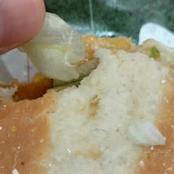 Hamburgerin İçinden Tüy Çıktı, Temizlik Talep Ediyorum