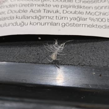 Hamburgerin İçinden Tüy Çıktı, Temizlik Talep Ediyorum