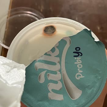 Nilky Yoğurt Küflü Çıktı, Müşteri Hizmeti Yanıt Vermiyor