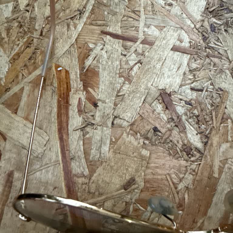 Aldığım Gözlüklerin Çerçevesi Soyuldu Ek Ücret İstendi