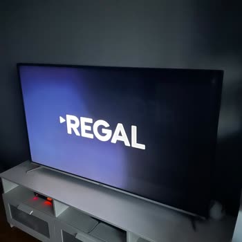 Regal Televizyon Ekranında Kararma Ve Müşteri Hizmetlerine Ulaşamama Sorunu