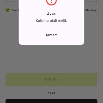 Hesabım İncelemeye Alındı, Bakiyeme Erişemiyorum Ve Müşteri Hizmetleri Yetersiz