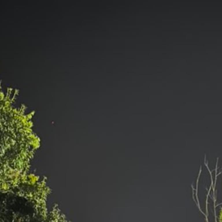 Justin Timberlake Konserinde Yaşanan Organizasyon Sorunu Ve Bilet İadesi Talebi