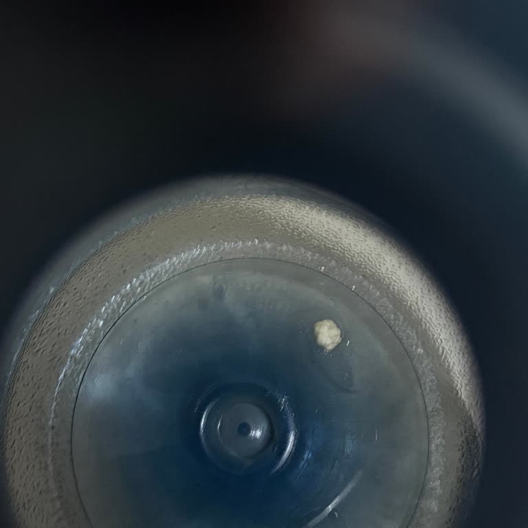 Bağcı Su İçinde Sakız Vardı