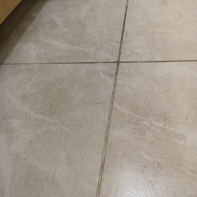 Yurt Odalarında Yetersiz Temizlik Ve Geciken Çöp Toplama Sorunu