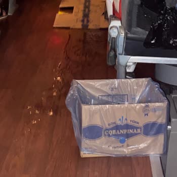 Metro Turizm'de Gecikme, Bilgisiz Şoför Ve Kötü Hizmet Şoku