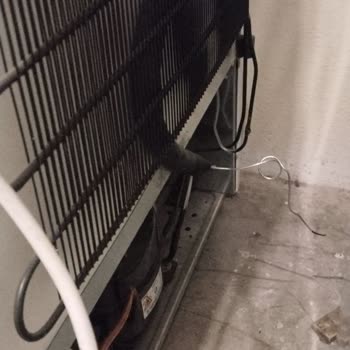 Şenocak Dipfriz Değişim Sürecinde Bilgi Alamıyorum