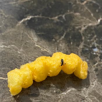 Çerezza Kokteyl Cips Paketinden Böcek Çıkması Nedeniyle Hayal Kırıklığı