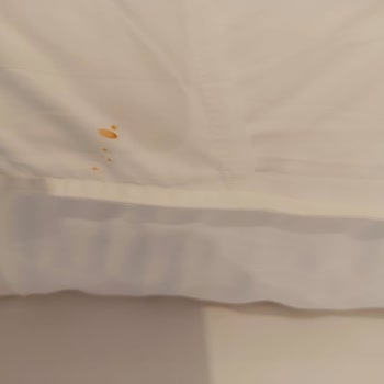 Jolly Tur THY İle Baştan Başa Balkanlar Turu Memnuniyetsizliği!