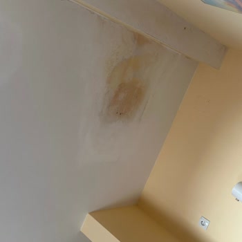 Jolly Tur THY İle Baştan Başa Balkanlar Turu Memnuniyetsizliği!