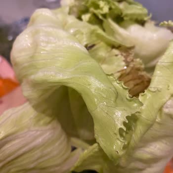 Siparişler Eksik Ve Kalitesiz Geliyor, İadeler Keyfi Olarak Reddediliyor